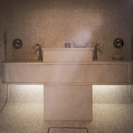 Four Seasons מלון פראג